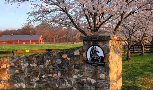 Chase Run Stables