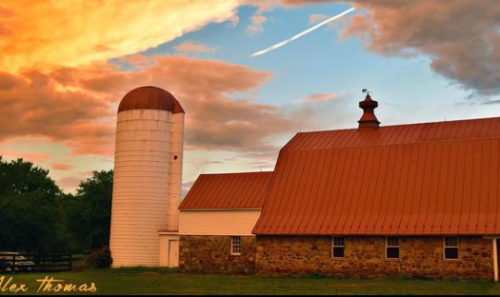 River Chase Farm