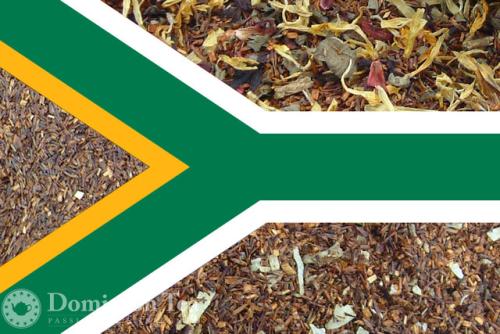 South African Rooibos Exploration Pack